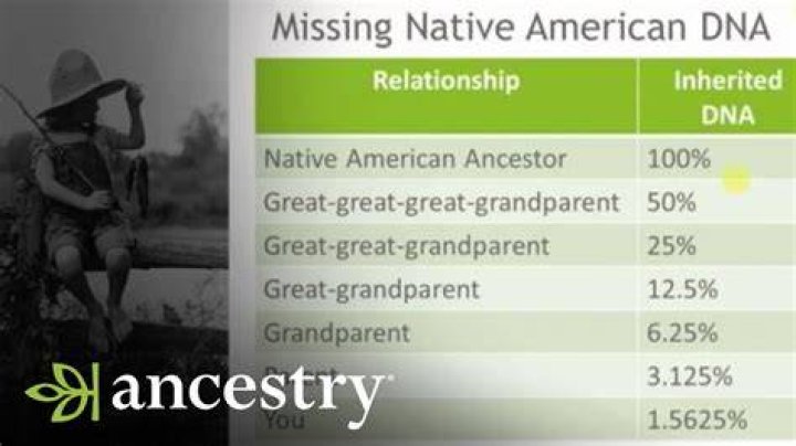 Can a DNA test tell if you are Native American?