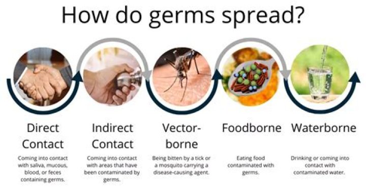 Do germs spread in hot or cold?