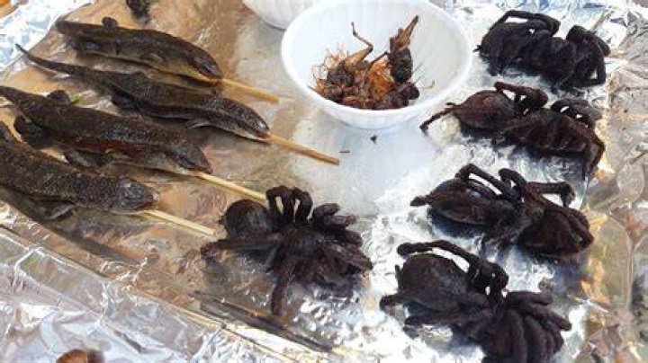 Do Vietnamese eat scorpions?