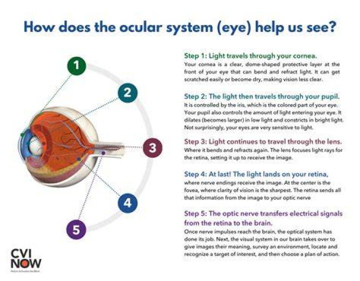 Does eye vision come back?