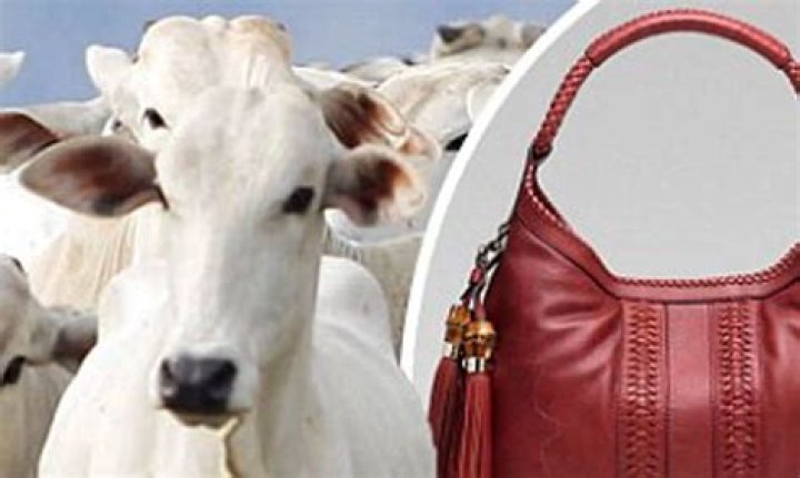 Does Gucci use cow leather?
