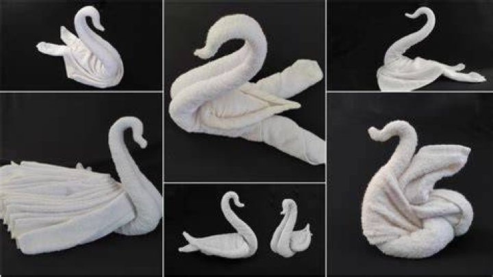 How do you towel a bird?