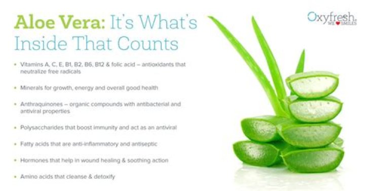 Is Aloe Vera good for receding gums?