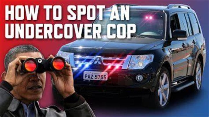 Is an undercover cop a job?