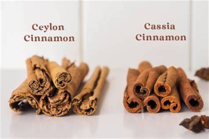 Is cinnamon and cassia the same?