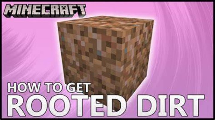 Is rooted dirt rare in Minecraft?