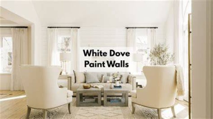 Is white Dove good for ceilings?