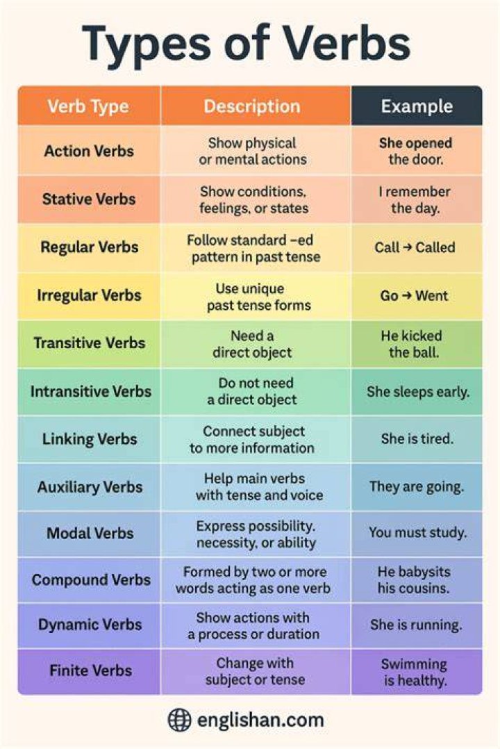 What are the 3 types of verb?