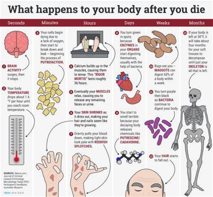 What happens to a body that falls?