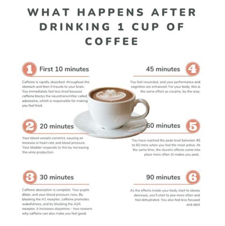 What happens when you drink coffee everyday?
