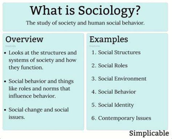 What is ambivalence in sociology?