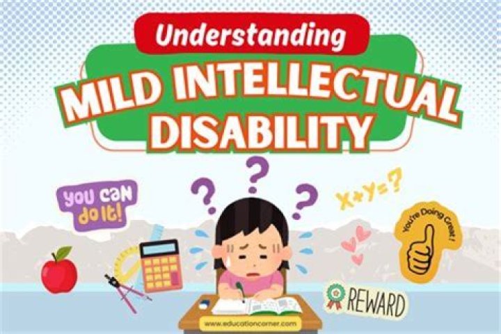 What is an example of a mild disability?