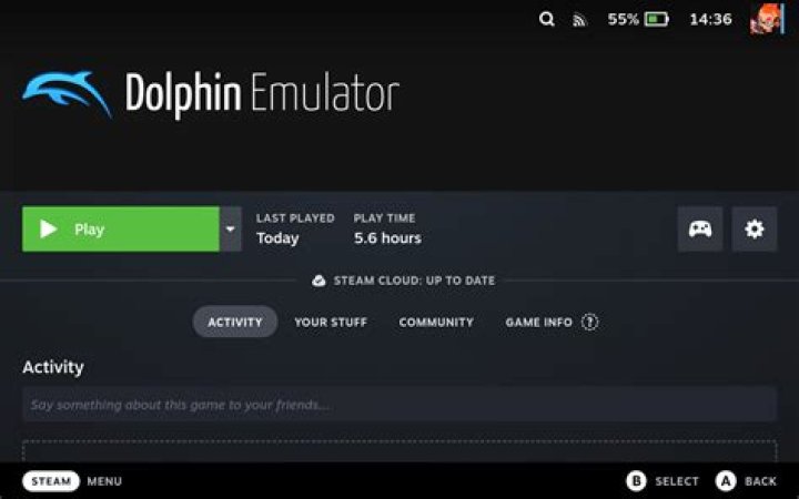 What is Dolphin VR?