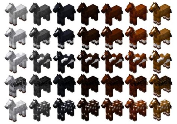 What is the rarest Minecraft horse?