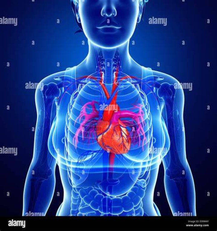 Where is your heart located on a woman?