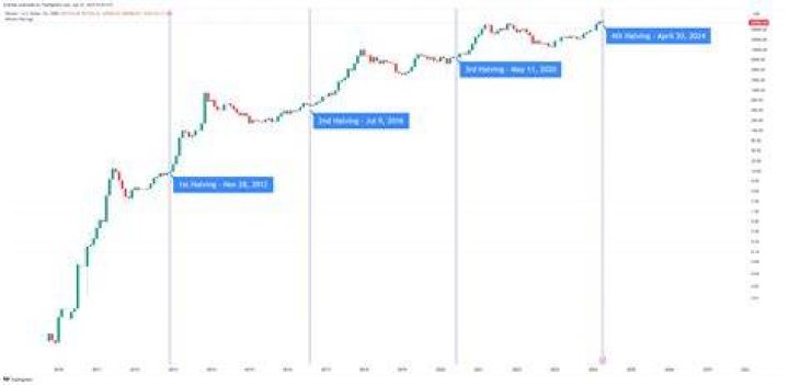 Which crypto is the next Bitcoin 2022?