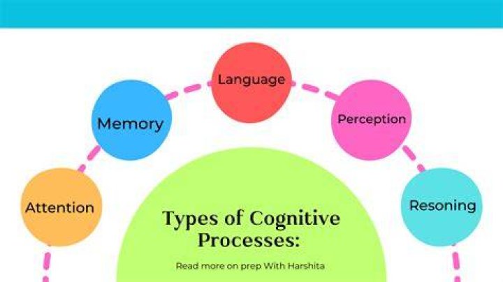 Which of the following are important aspects of cognition?