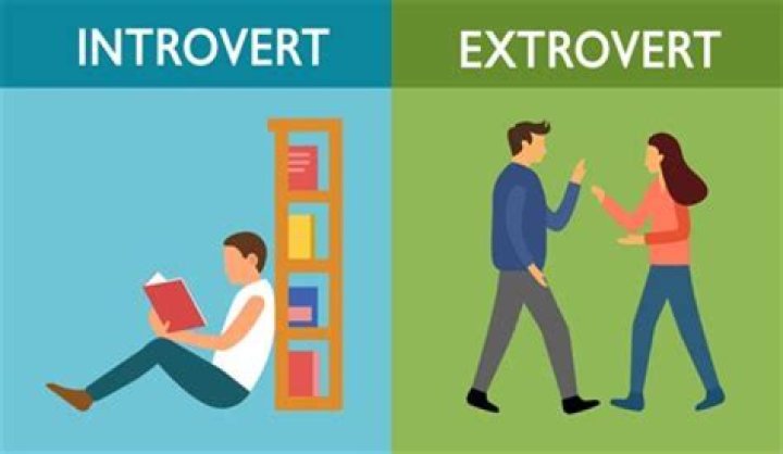 Why do introverts make good employees?