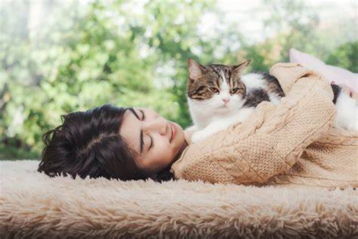 Why does my cat want attention in the morning?