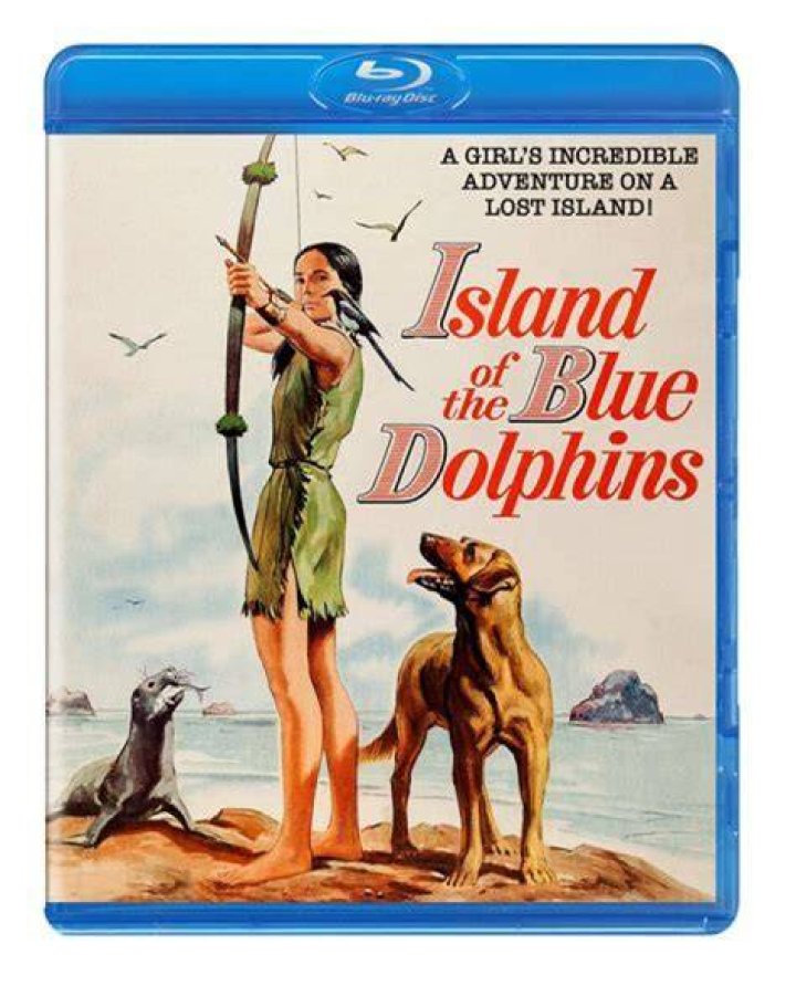 Why is it called Island of the Blue Dolphins?